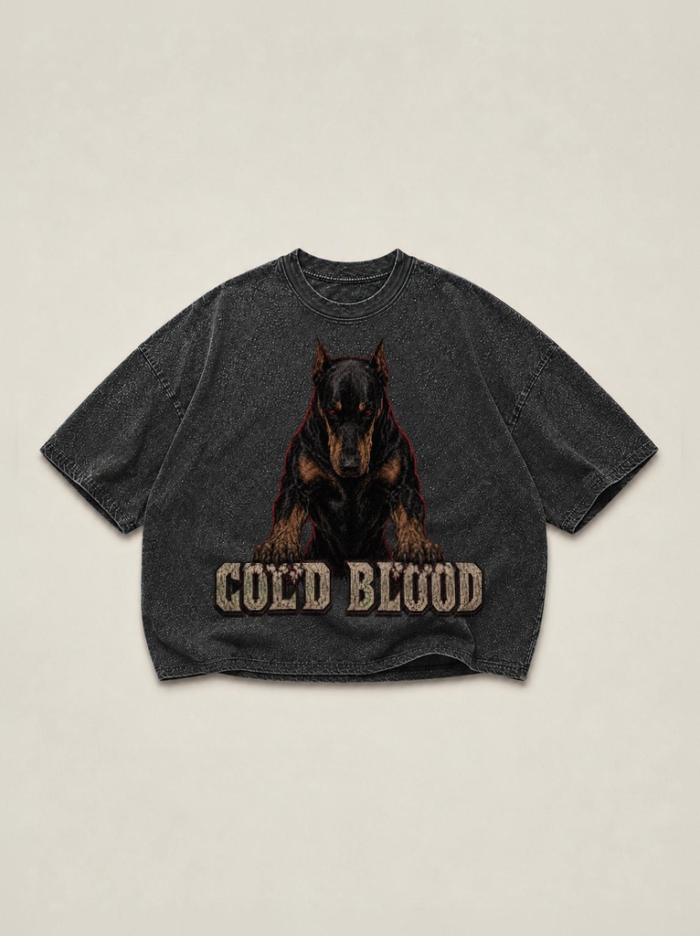 Washed Tee Statement Front